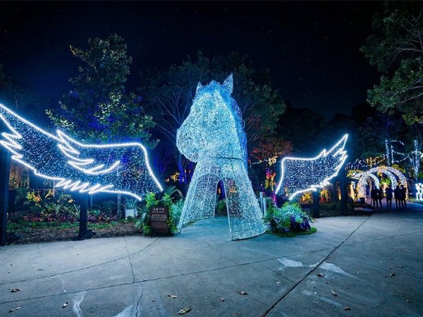 2026元宵燈會推薦地點與時間，全台燈區展期與亮點彙整